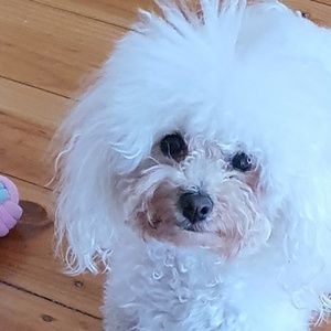 Meet your Posher, Russell